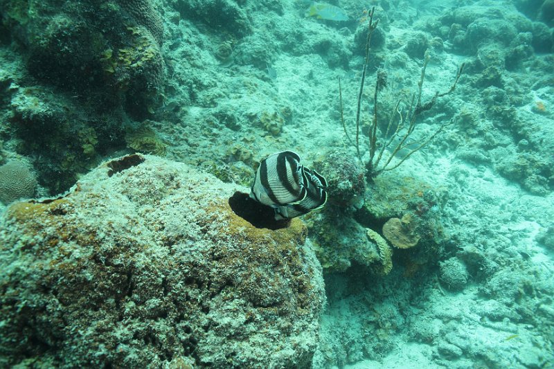 Curacao 04-12 108.JPG